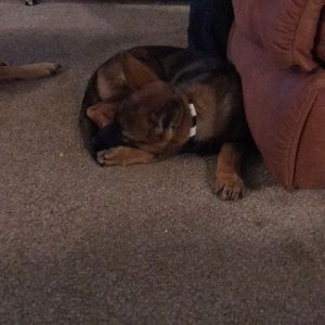 Meet your Posher, Matthew